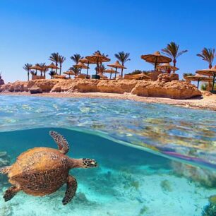 Sharm El Sheikh